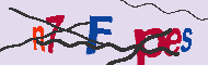 キャプチャ(CAPTCHA)認証コード