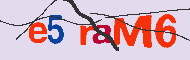 キャプチャ(CAPTCHA)認証コード