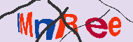 キャプチャ(CAPTCHA)認証コード