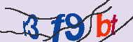 キャプチャ(CAPTCHA)認証コード