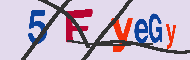 キャプチャ(CAPTCHA)認証コード