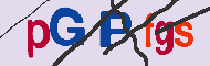 キャプチャ(CAPTCHA)認証コード