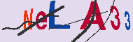 キャプチャ(CAPTCHA)認証コード