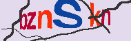 キャプチャ(CAPTCHA)認証コード