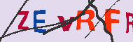 キャプチャ(CAPTCHA)認証コード