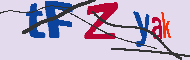 キャプチャ(CAPTCHA)認証コード