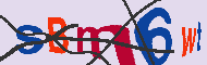 キャプチャ(CAPTCHA)認証コード