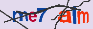 キャプチャ(CAPTCHA)認証コード