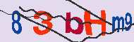 キャプチャ(CAPTCHA)認証コード