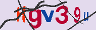 キャプチャ(CAPTCHA)認証コード