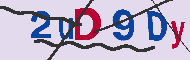 キャプチャ(CAPTCHA)認証コード