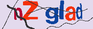 キャプチャ(CAPTCHA)認証コード