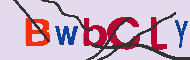 キャプチャ(CAPTCHA)認証コード