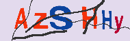 キャプチャ(CAPTCHA)認証コード