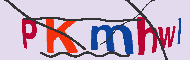 キャプチャ(CAPTCHA)認証コード
