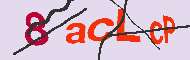 キャプチャ(CAPTCHA)認証コード