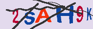 キャプチャ(CAPTCHA)認証コード