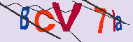 キャプチャ(CAPTCHA)認証コード