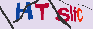 キャプチャ(CAPTCHA)認証コード