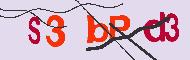 キャプチャ(CAPTCHA)認証コード
