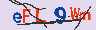 キャプチャ(CAPTCHA)認証コード