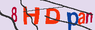 キャプチャ(CAPTCHA)認証コード