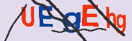キャプチャ(CAPTCHA)認証コード