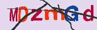 キャプチャ(CAPTCHA)認証コード