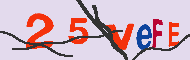 キャプチャ(CAPTCHA)認証コード