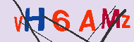 キャプチャ(CAPTCHA)認証コード