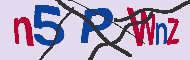 キャプチャ(CAPTCHA)認証コード