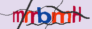 キャプチャ(CAPTCHA)認証コード