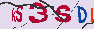 キャプチャ(CAPTCHA)認証コード