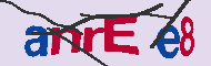 キャプチャ(CAPTCHA)認証コード