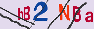 キャプチャ(CAPTCHA)認証コード