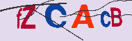 キャプチャ(CAPTCHA)認証コード