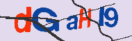 キャプチャ(CAPTCHA)認証コード