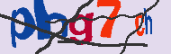 キャプチャ(CAPTCHA)認証コード