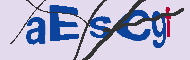 キャプチャ(CAPTCHA)認証コード