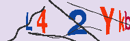 キャプチャ(CAPTCHA)認証コード