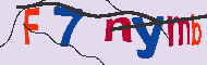キャプチャ(CAPTCHA)認証コード