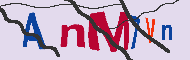 キャプチャ(CAPTCHA)認証コード