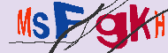キャプチャ(CAPTCHA)認証コード