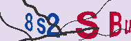 キャプチャ(CAPTCHA)認証コード