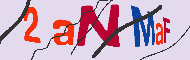 キャプチャ(CAPTCHA)認証コード
