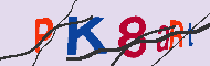 キャプチャ(CAPTCHA)認証コード