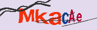 キャプチャ(CAPTCHA)認証コード
