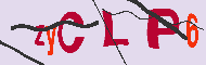 キャプチャ(CAPTCHA)認証コード