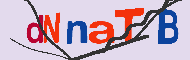 キャプチャ(CAPTCHA)認証コード
