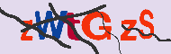 キャプチャ(CAPTCHA)認証コード